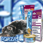 Croquettes  et aliments  humides  pour chiens  FORZA10