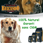 Croquettes  pour chiens Belcando