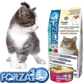 Croquettes et aliments humides pour chats FORZA 10